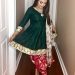 Punjabi Palazzo Dresses