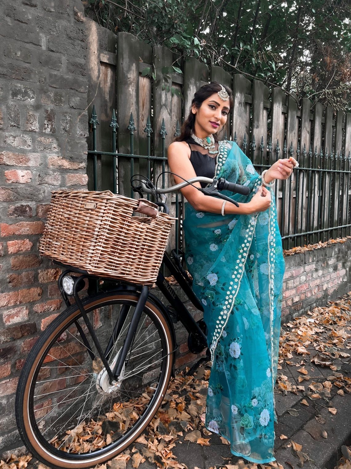 pure organza saree