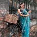 pure organza saree